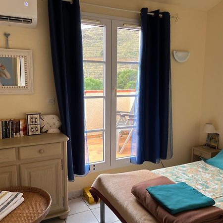 Aloes Apartman Cerbère Kültér fotó