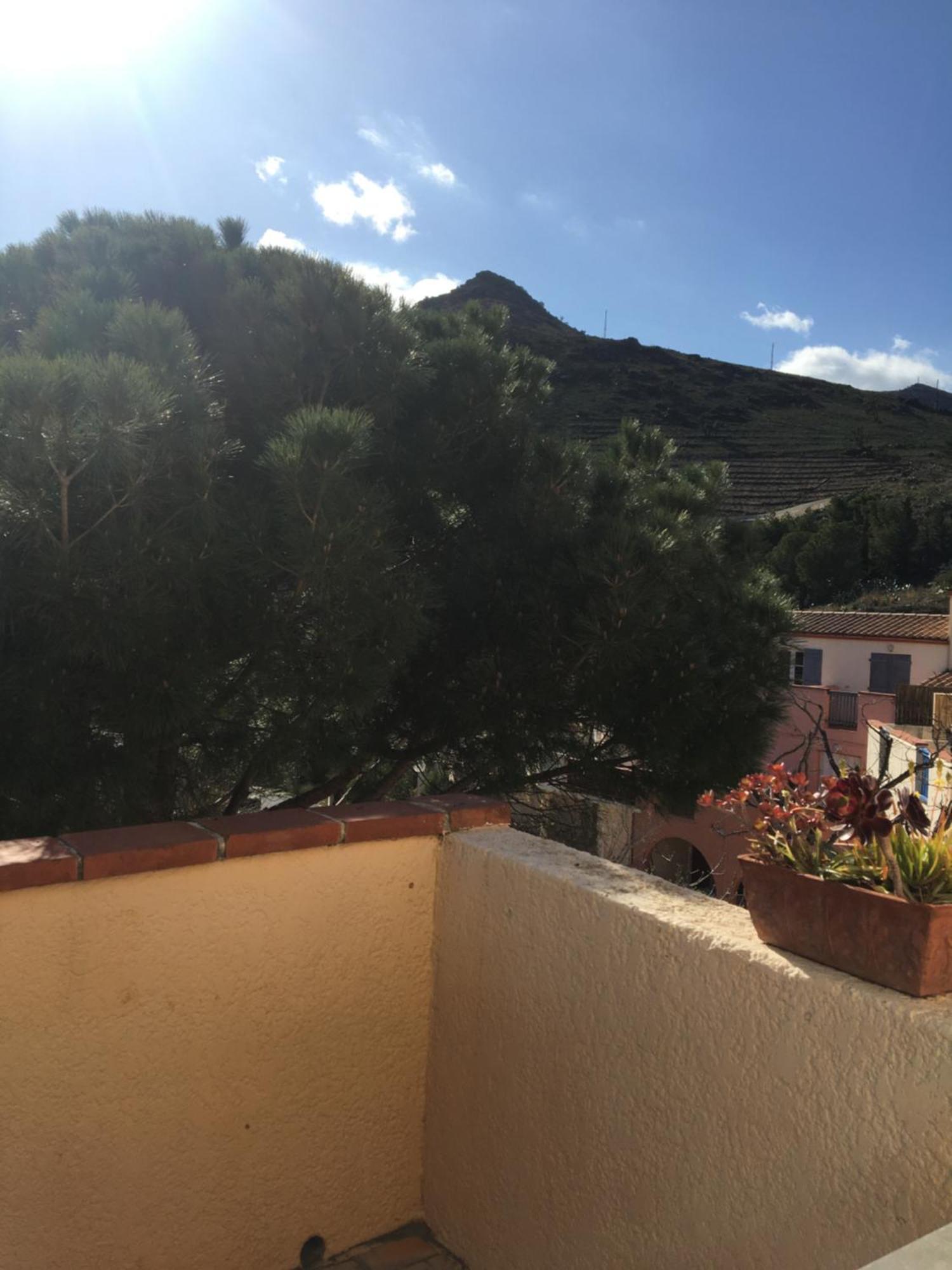 Aloes Apartman Cerbère Kültér fotó